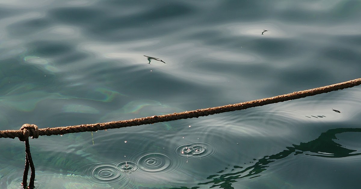 The Essence Of A Drop...