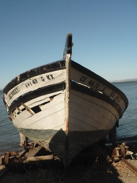 Solitude - China Camp, San Rafael, CA