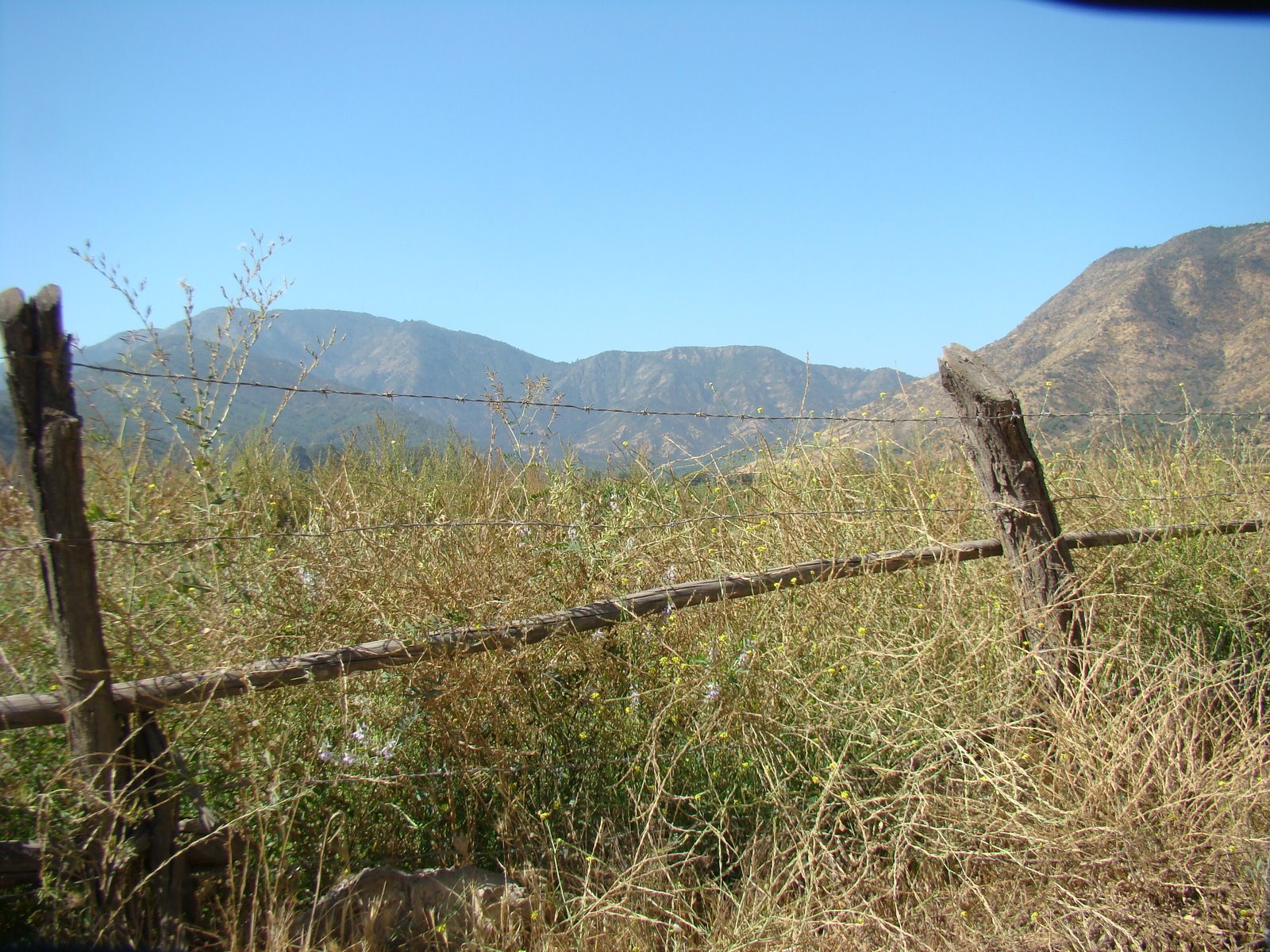 [DSC01445.JPG]