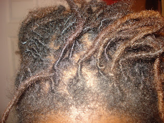 Loc Rocker What The Is That Straight Hair I See