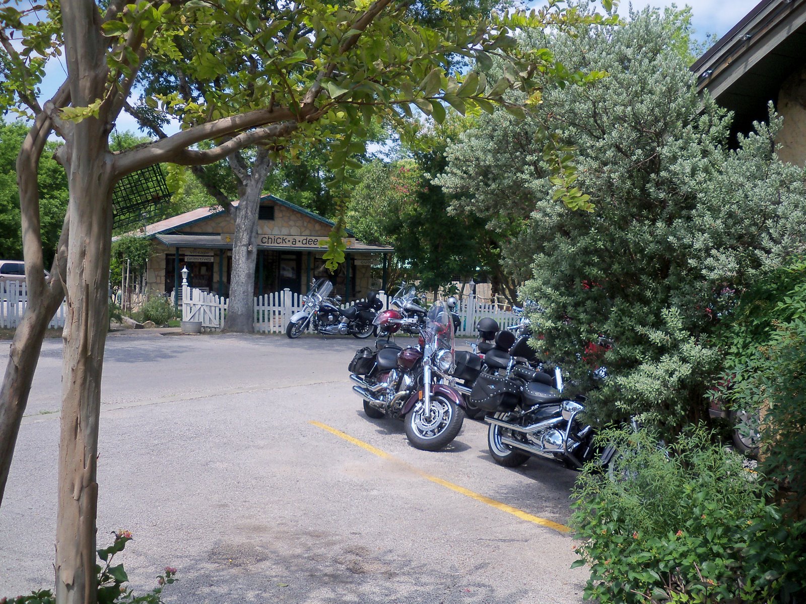 [100_0045.JPG]