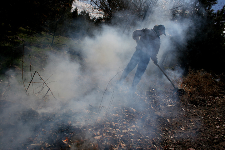 [wild032507.7.lres.jpg]