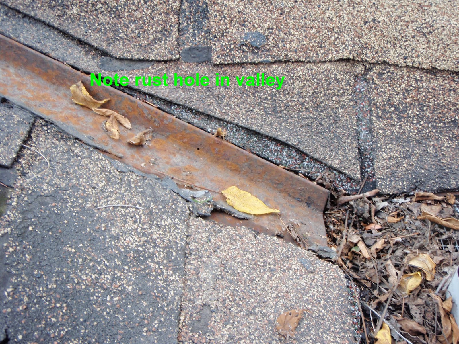 asphalt shingle problems why does my roof leak asphalt shingle problems why does my roof leak