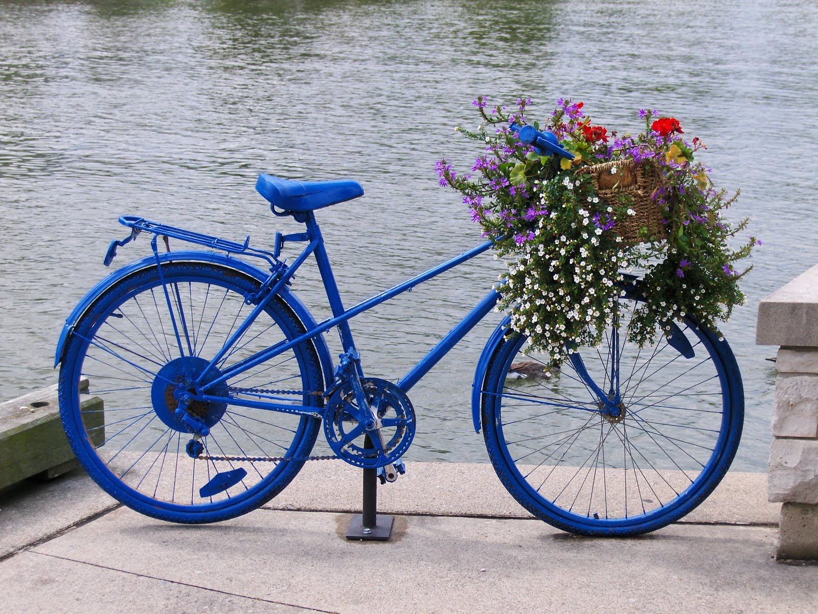 Artistic Environments Beautiful Bouquet Bicycles and Childhood Memories...