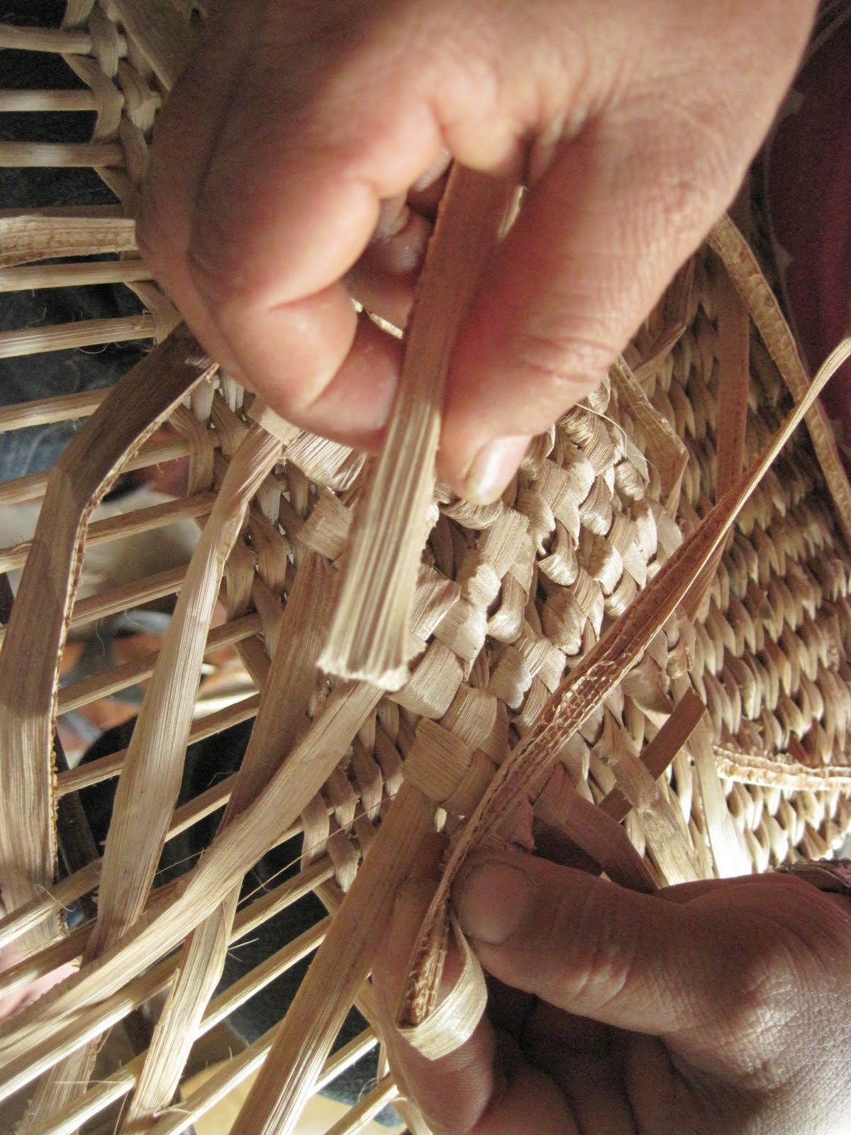 Tradition made Contemporary Weave exploration with cane and banana fibre