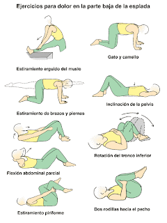 ejercicios-abdominales.gif