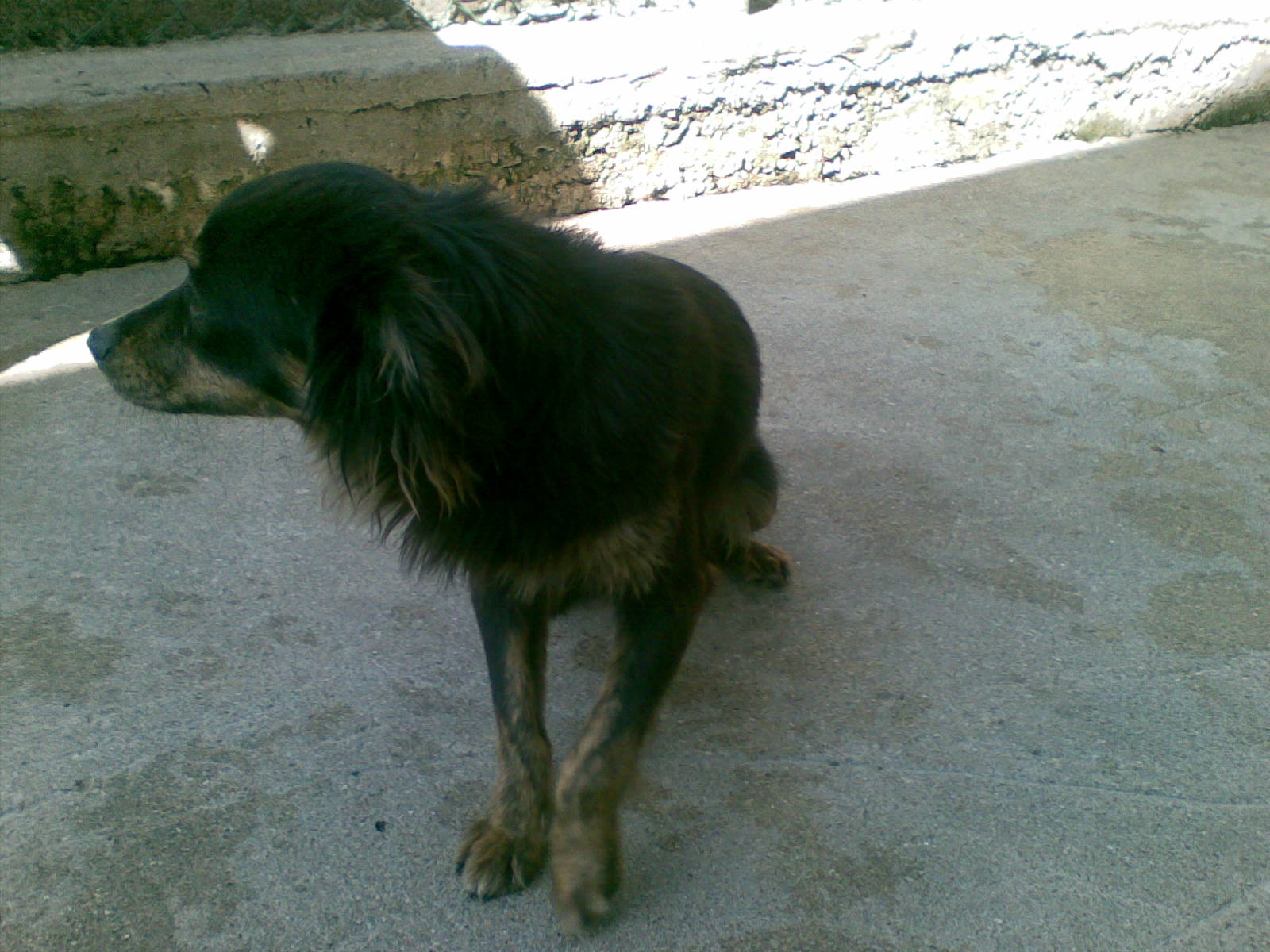 [19032009(005).jpg]