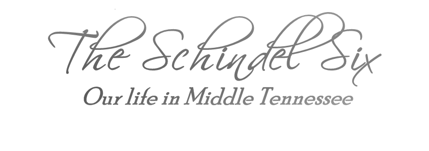 The Schindel Six