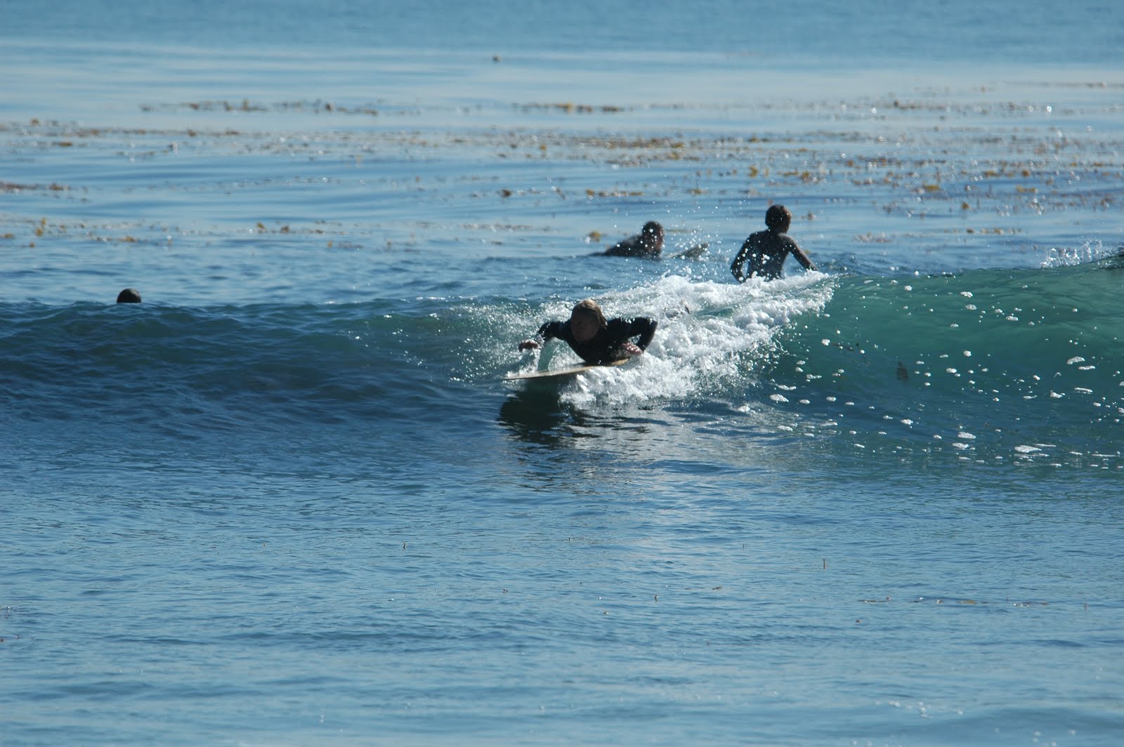 [Leo+Carrillo+393.JPG]