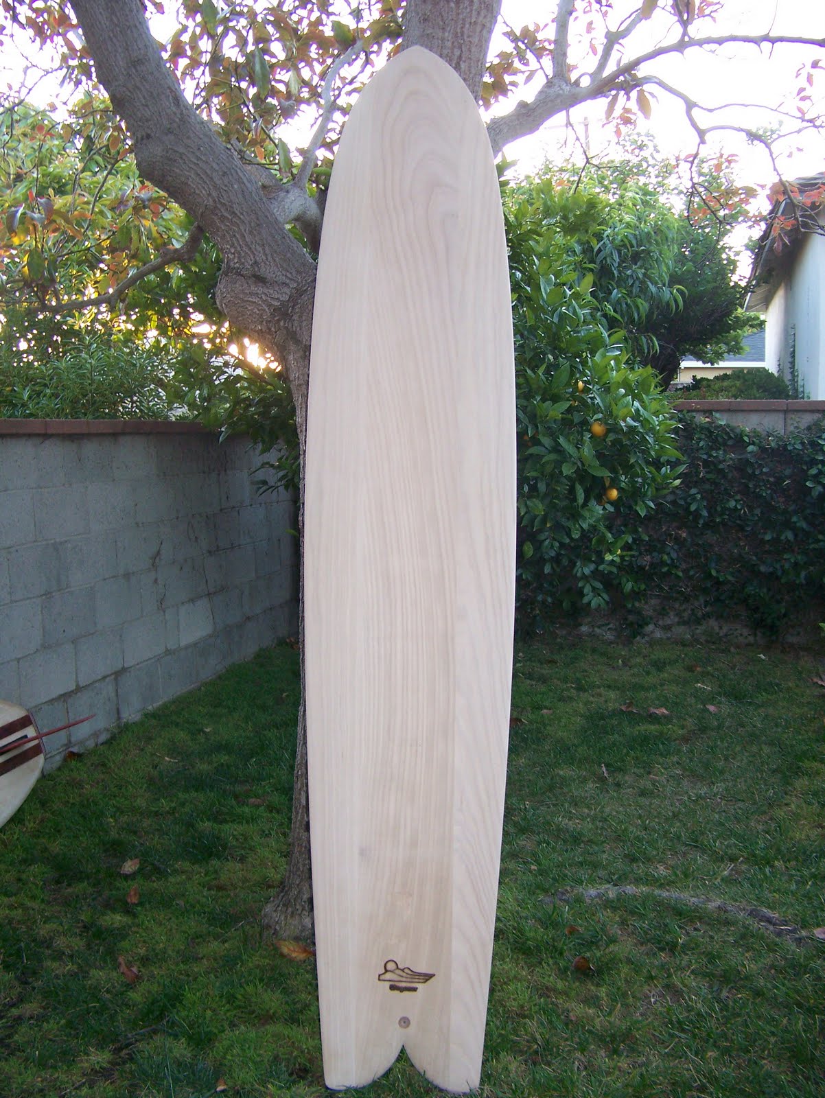 Wegener's Finless Frontier Fin, belly board, and alaia
