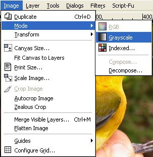 Image