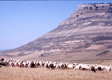 Soria - Fuentetoba