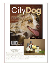 City Dog Magazine