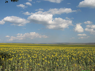 Dobrudja (Dobrogea)