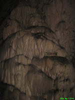 Pestera Muierii - Women's Cave