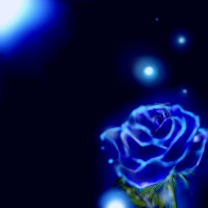 To My Blue Rose only