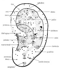 Mapa Auricular...