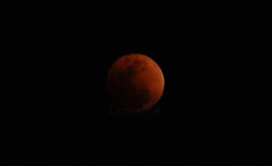 [Luna08-05bl.jpg]