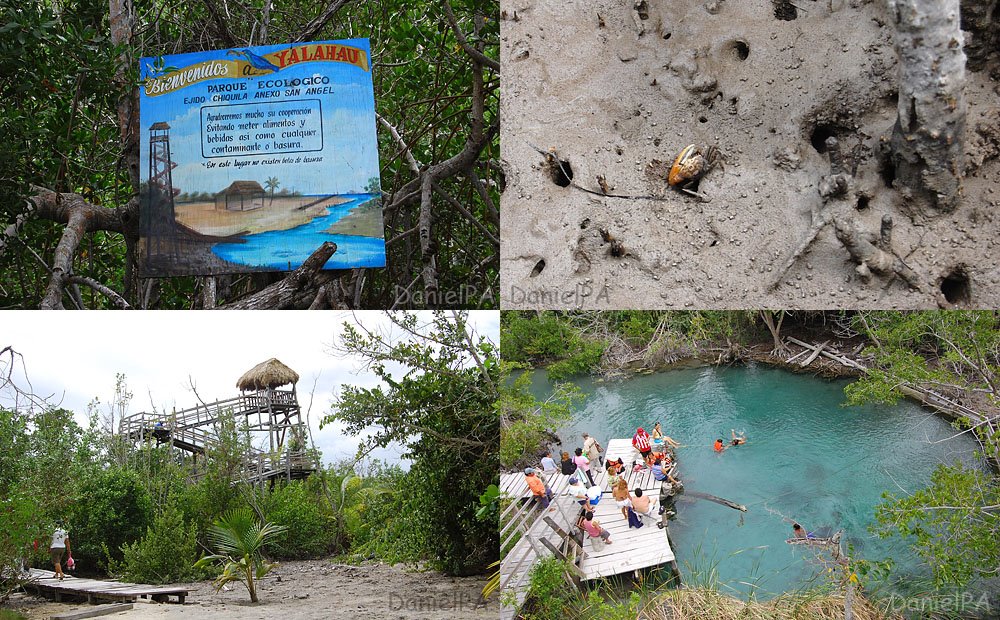 [Holbox0809.jpg]