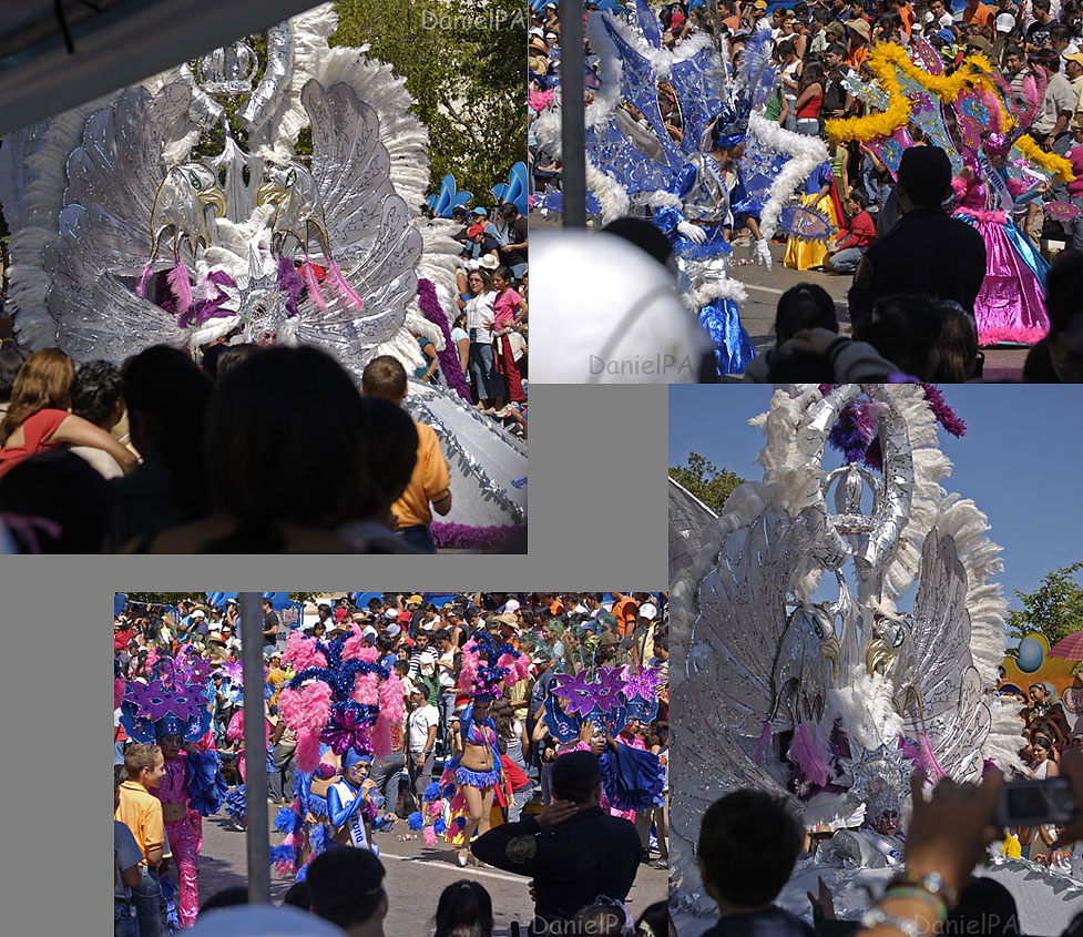 [Carn0705bl.jpg]