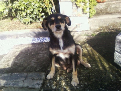 Imagem