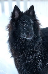 Nera