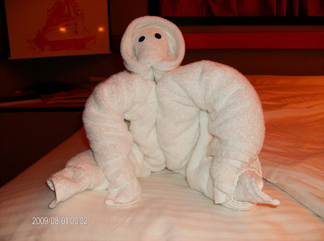 A towel folded into a monkey