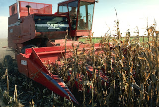 Iowa Corn Growers Food vs Fuel Kernels of Truth