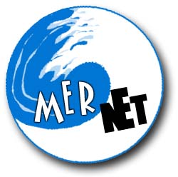 The Mernet Blog