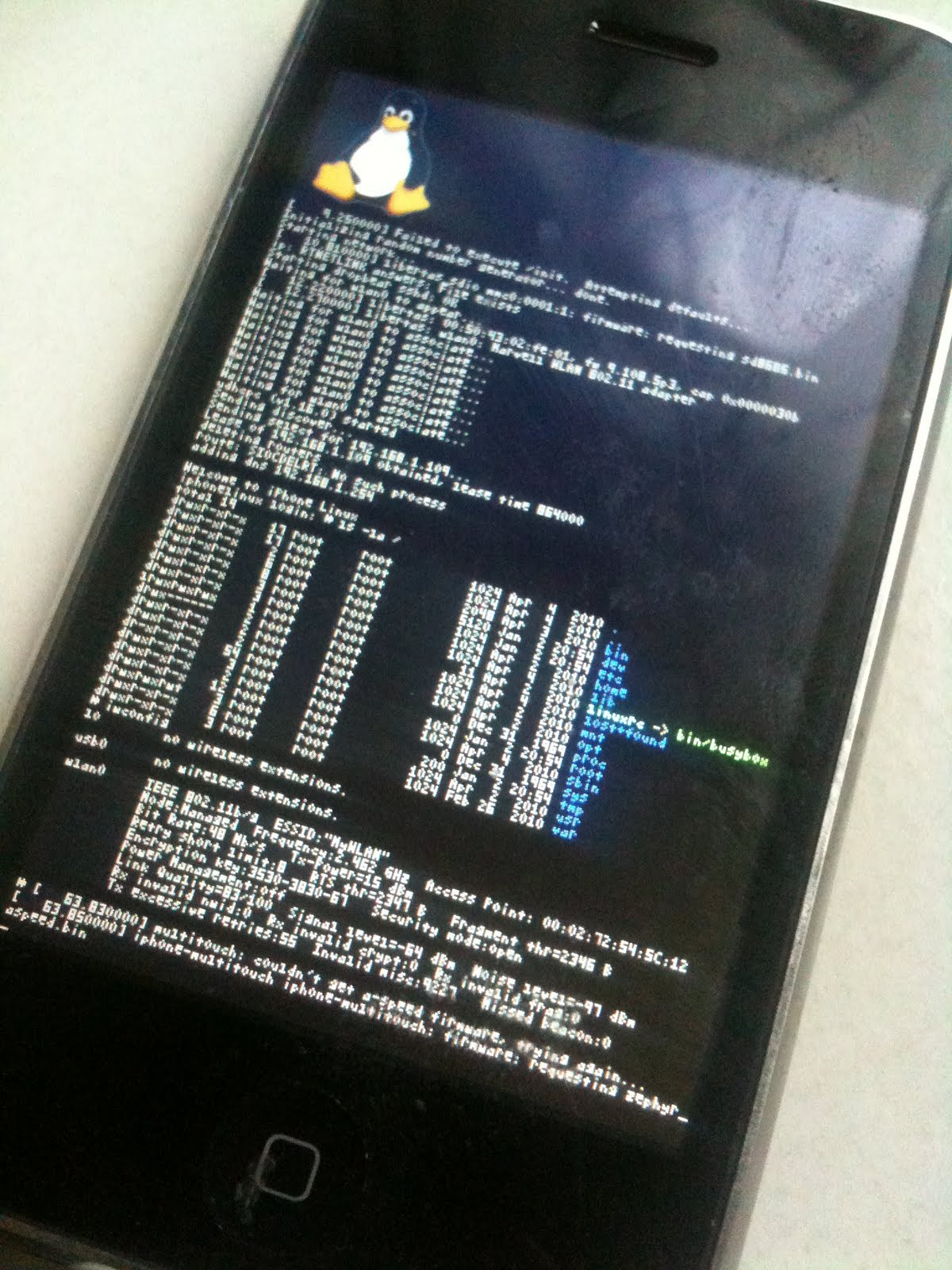 Linux on the iPhone