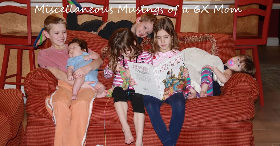 Miscellaneous Musings of a 6X Mom