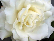 Allow God and ur life will blossom - Woman