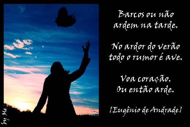 [imagem237.jpg]