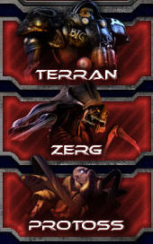 [StarC-TZP.jpg]