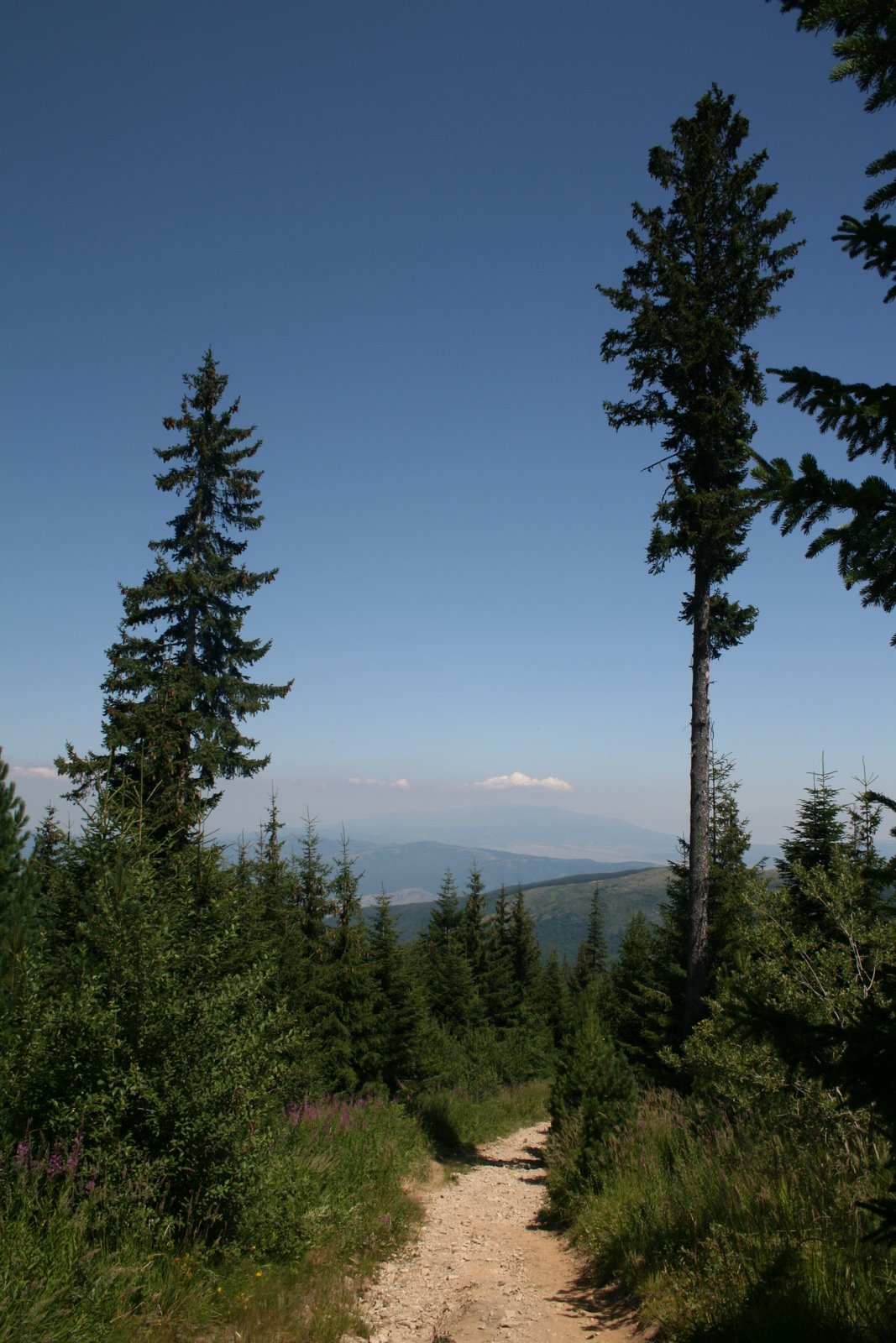 [IMG_4829.JPG]