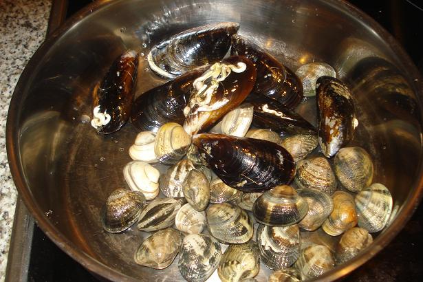 [cavatelliragupesce1.JPG]