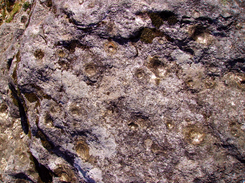 [screen-capture-2.png]