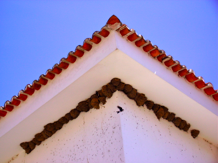 [screen-capture-1.png]