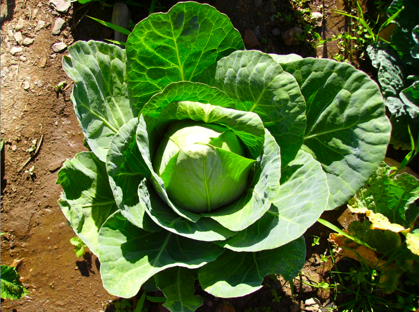 [screen-capture-9.png]