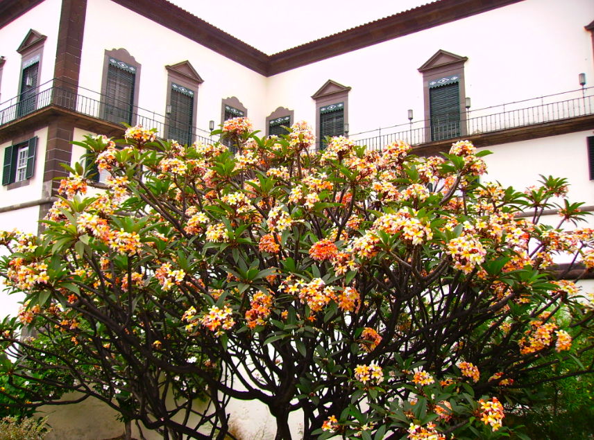 [screen-capture-10.png]