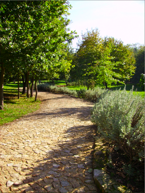 [screen-capture.png]