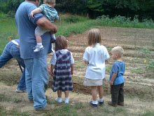 Cabot Community Garden