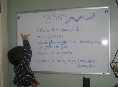 Preschool at Home, Day Four - Worms
