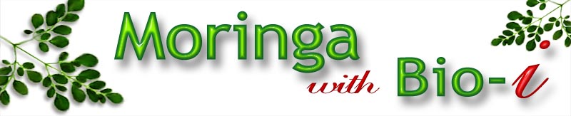 Moringa-Bio-I, Natural Health Remedy