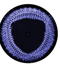 connected to 432 Hertz.