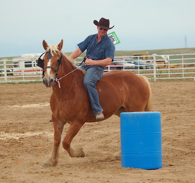 reining with a draft horse reining with a draft horse