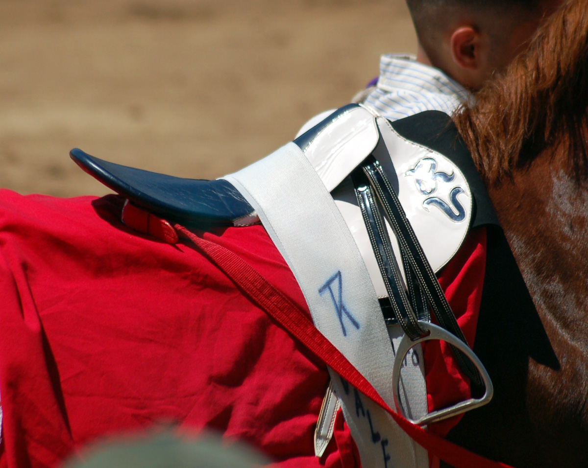 saddle_blue_white2.jpg
