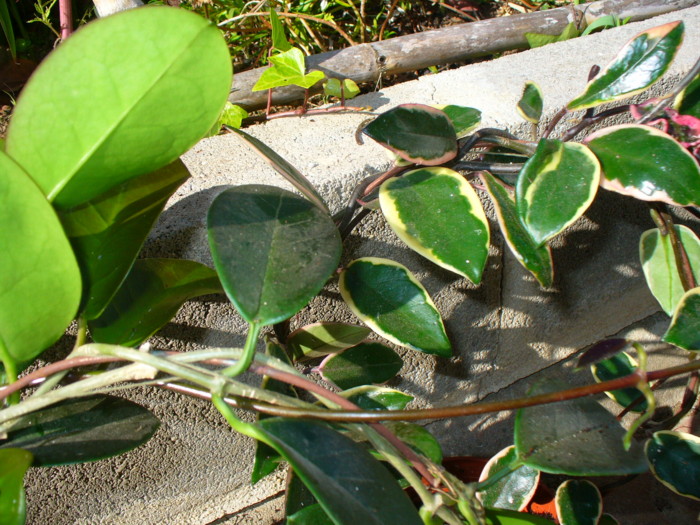 [P1050336.JPG]