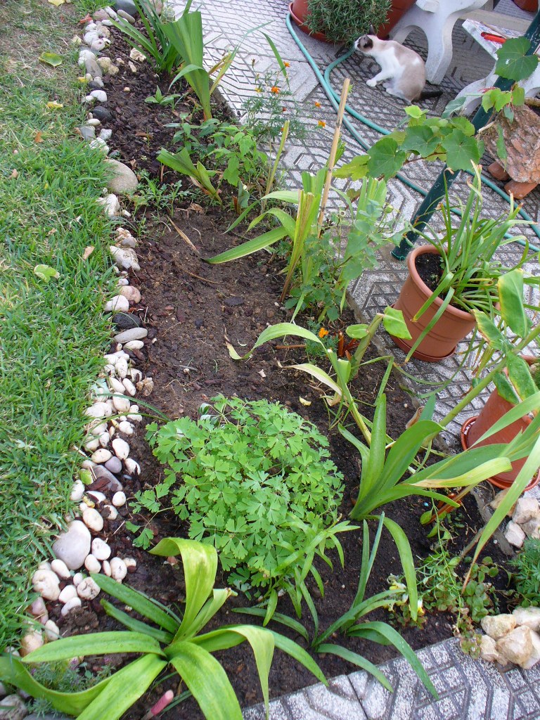 [jardim1+8set07.JPG]