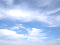 [logo4.gif]